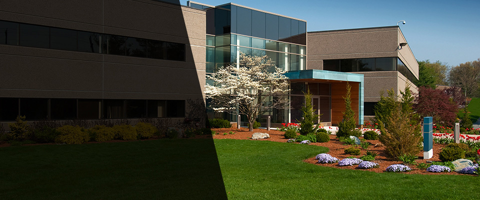 Woodmere Landscapers