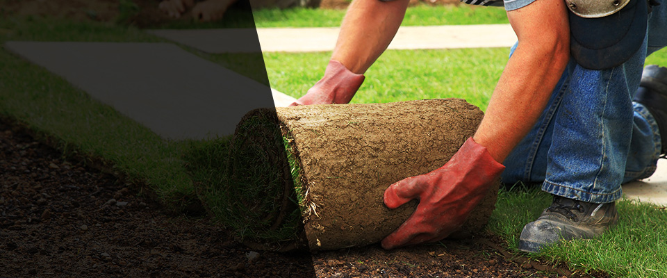 Woodmere Landscapers